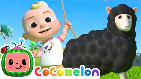 cocomelon baa baa black sheep|baa black sheep theme song.